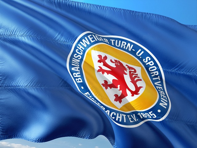 极为重要的 极为重要的