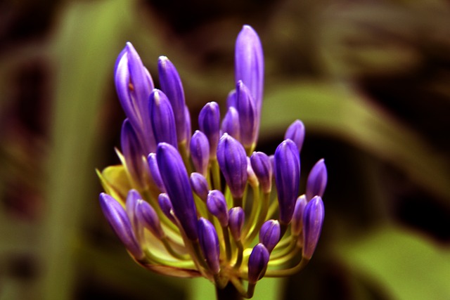 外野手桑原 外野手桑原