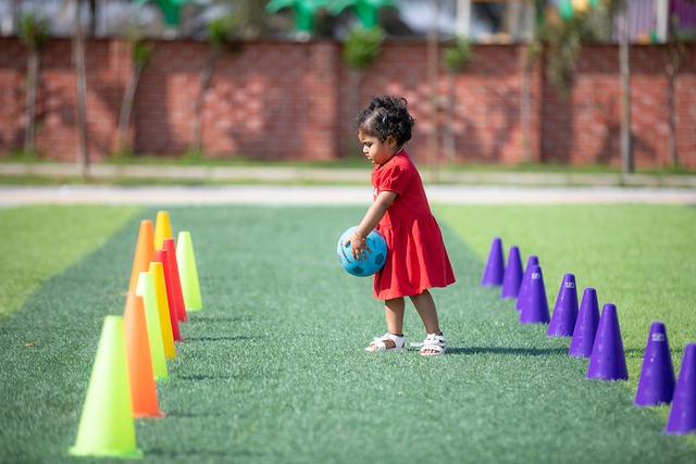 两人都拥有 两人都拥有
