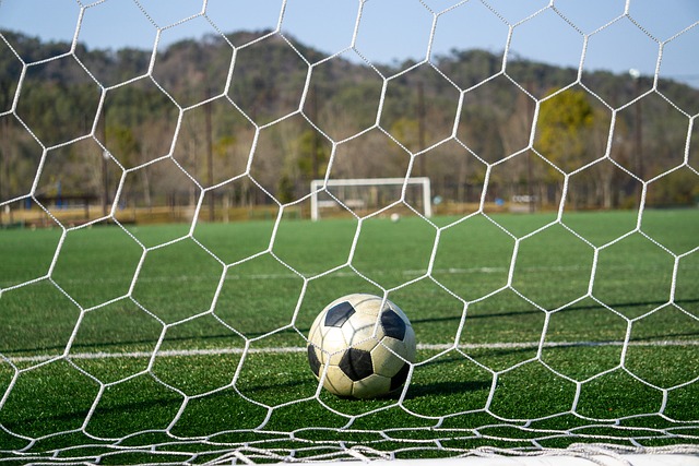 的表现稍显 的表现稍显